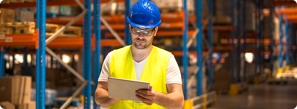 Страхование и безопасность